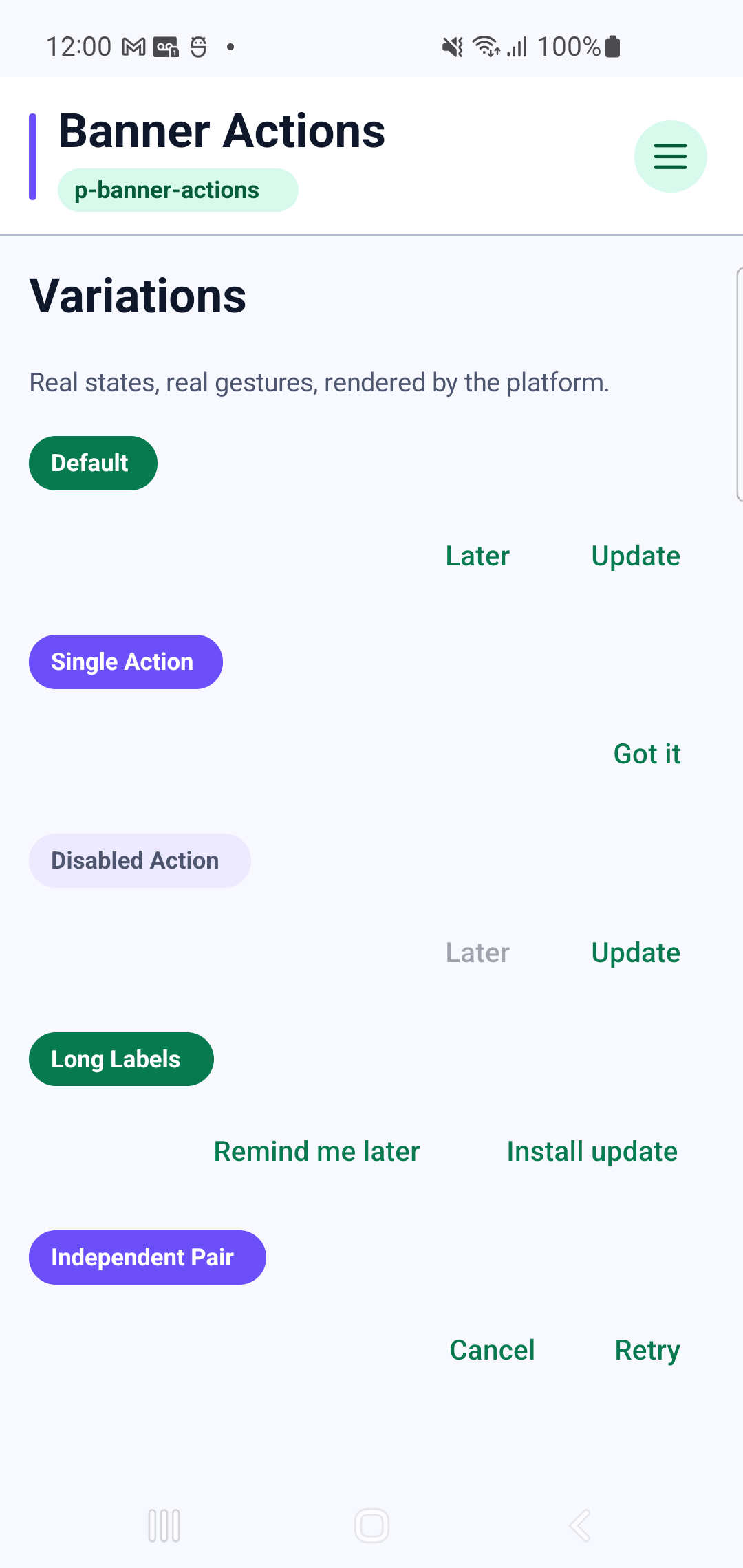 p-banner-actions rendered by PAM Native UI on a physical Samsung Android device