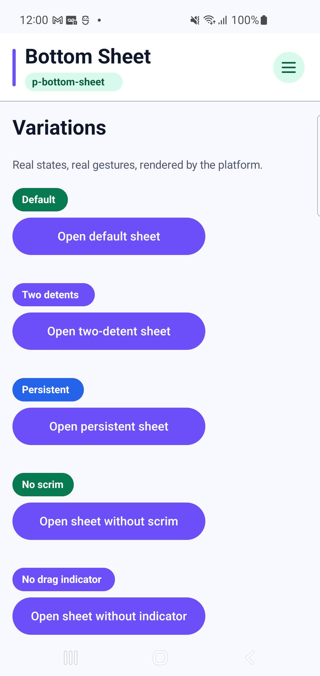 p-bottom-sheet rendered by PAM Native UI on a physical Samsung Android device