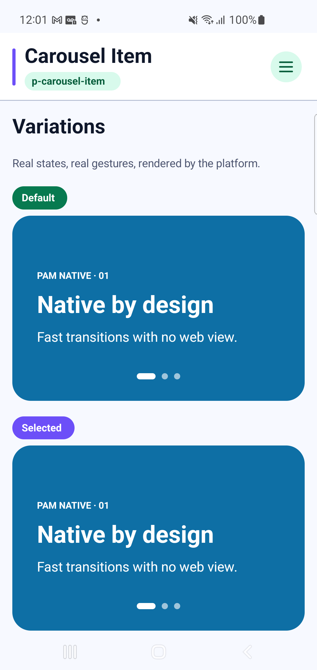 p-carousel-item rendered by PAM Native UI on a physical Samsung Android device