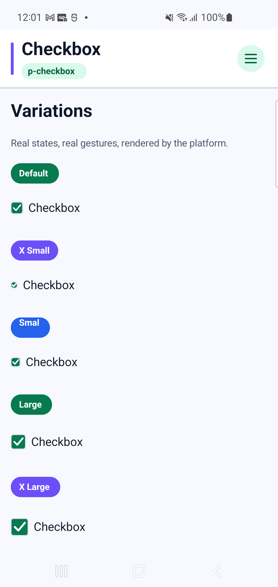 p-checkbox rendered by PAM Native UI on a physical Samsung Android device