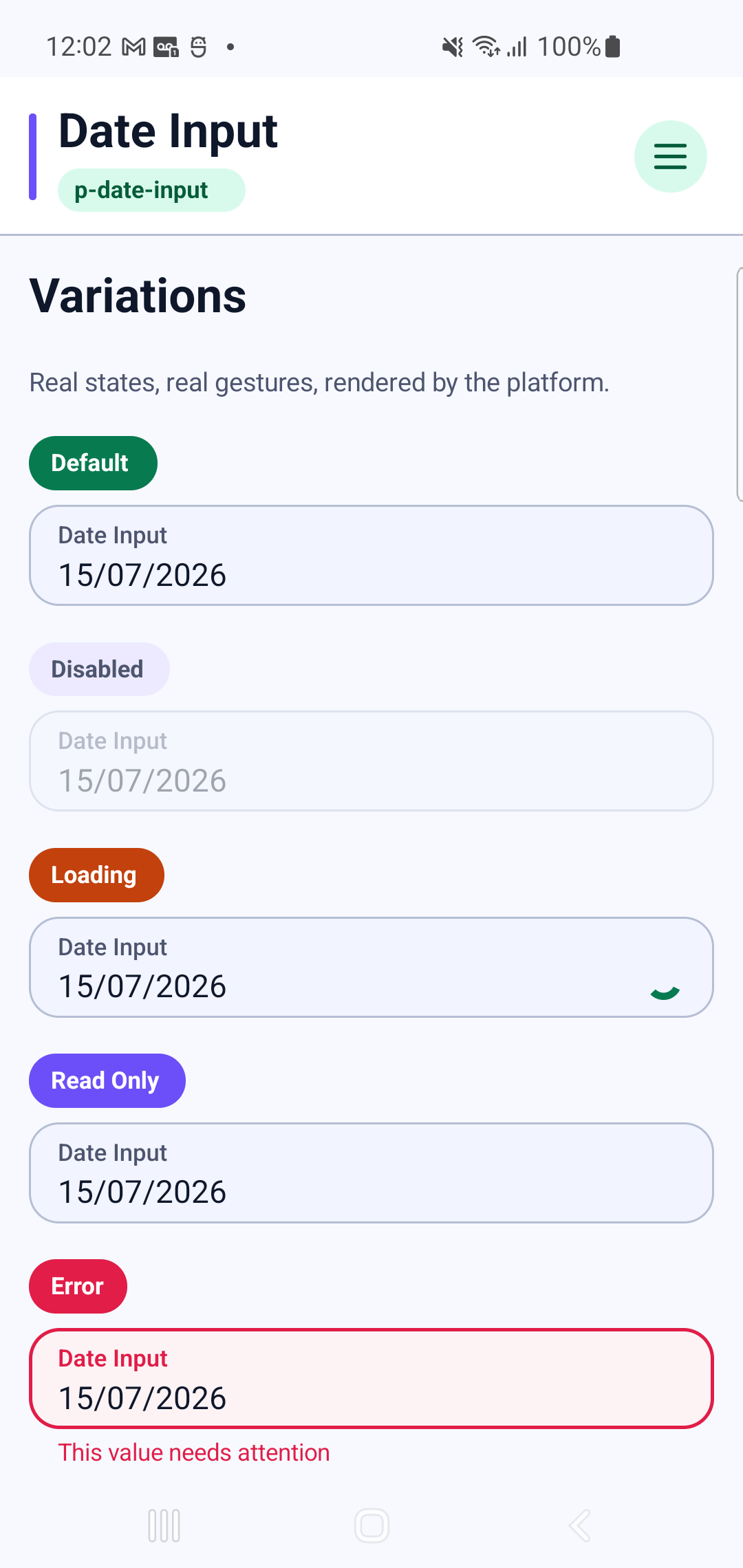 p-date-input rendered by PAM Native UI on a physical Samsung Android device