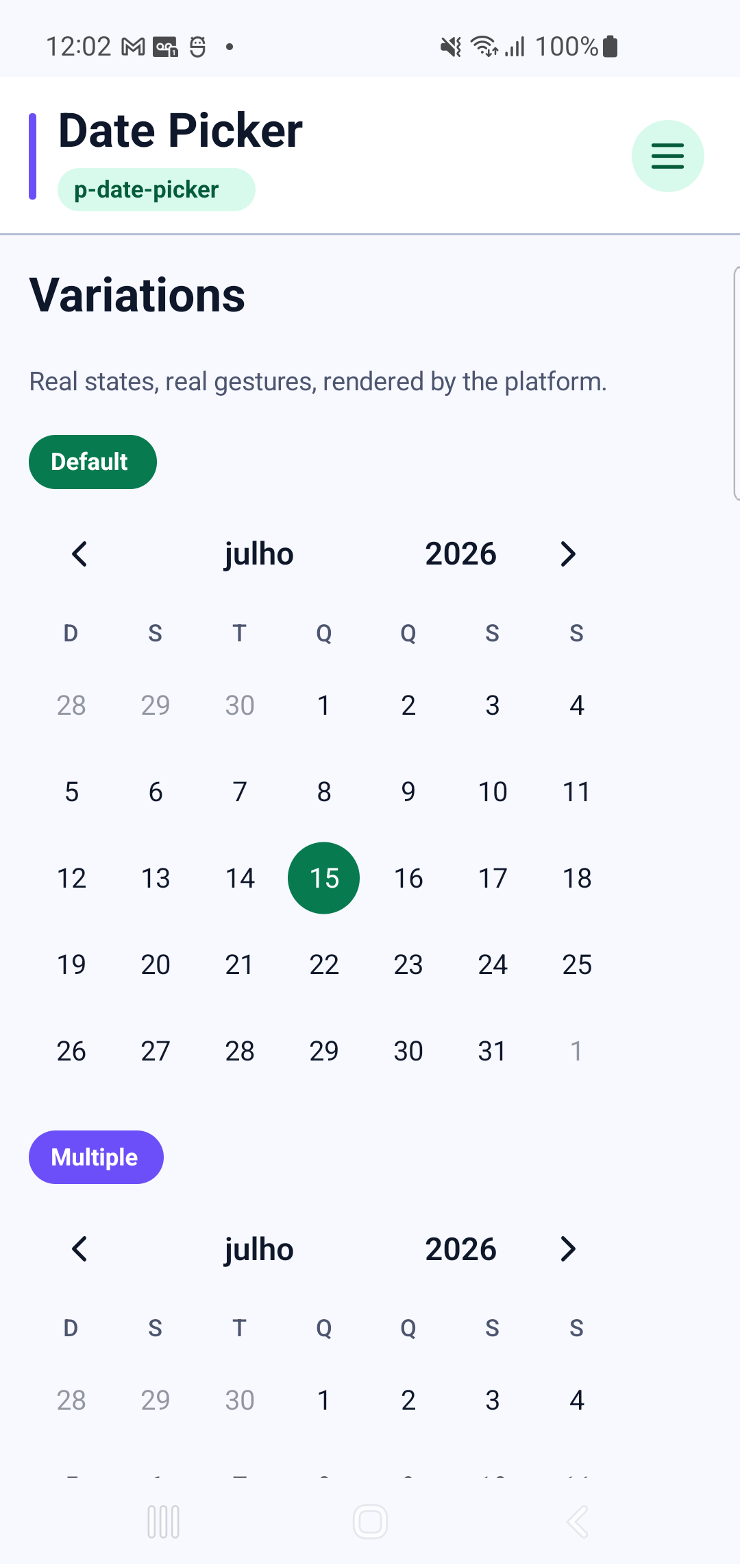 p-date-picker rendered by PAM Native UI on a physical Samsung Android device