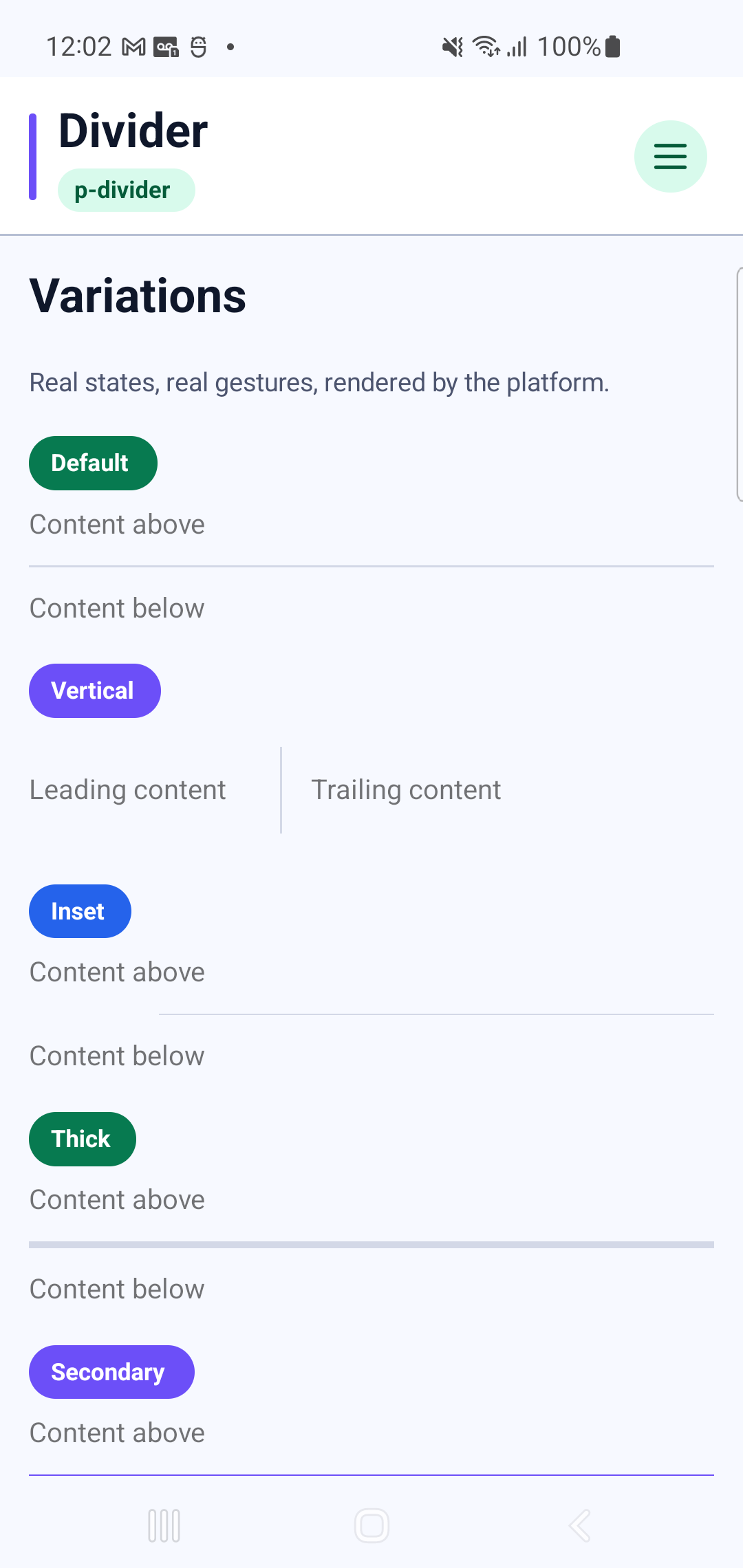p-divider rendered by PAM Native UI on a physical Samsung Android device