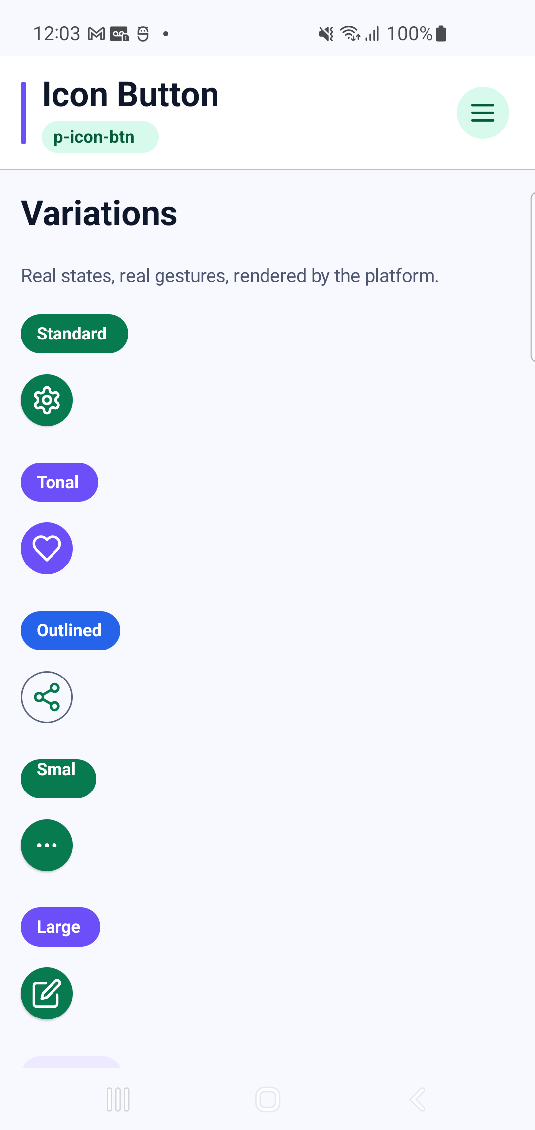 p-icon-btn rendered by PAM Native UI on a physical Samsung Android device