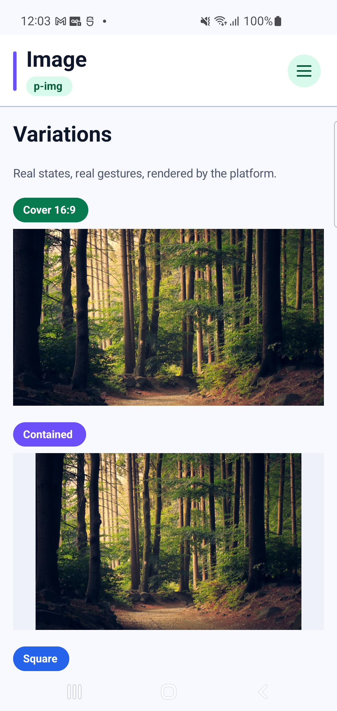 p-img rendered by PAM Native UI on a physical Samsung Android device