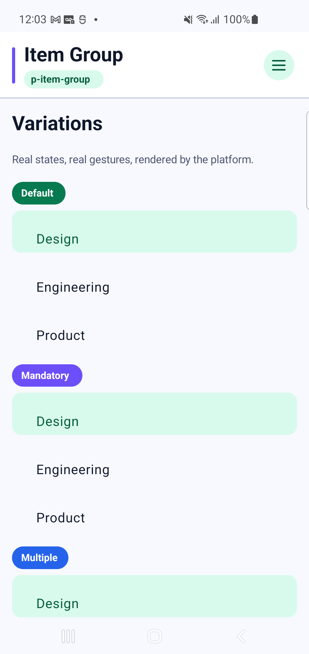 p-item-group rendered by PAM Native UI on a physical Samsung Android device