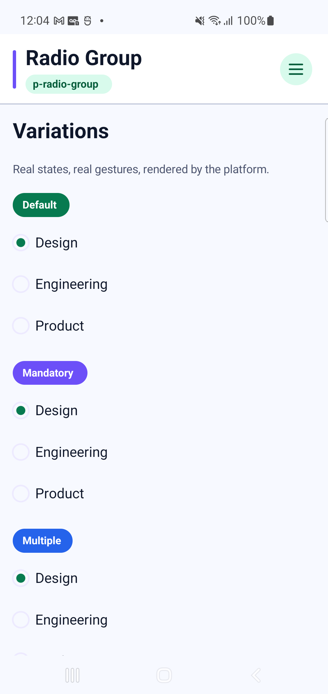 p-radio-group rendered by PAM Native UI on a physical Samsung Android device