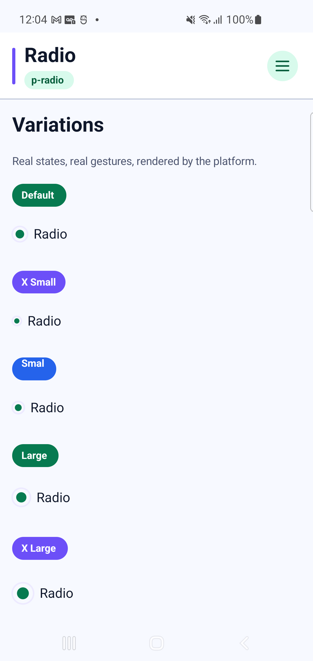 p-radio rendered by PAM Native UI on a physical Samsung Android device