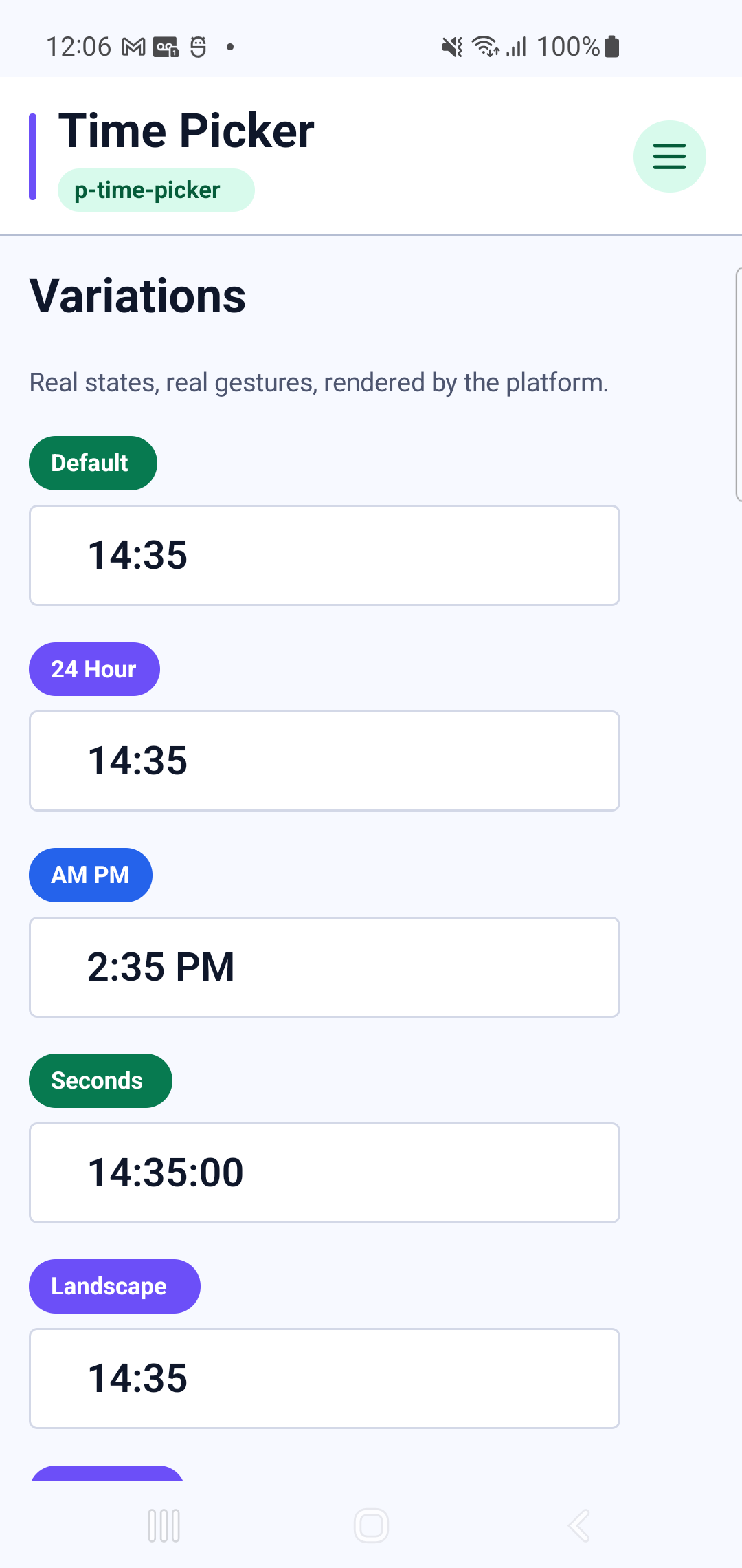 p-time-picker rendered by PAM Native UI on a physical Samsung Android device